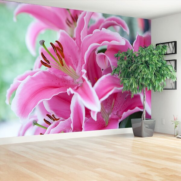Carta da parati Lily rosa 104x70 cm