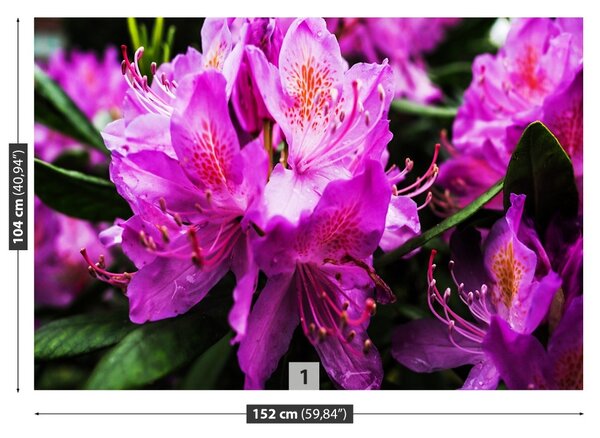 Carta da parati Fiori viola 104x70 cm