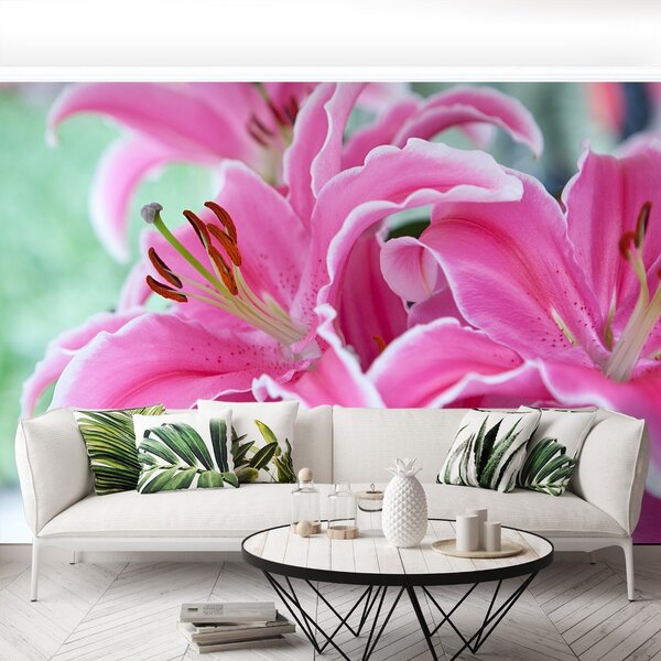 Carta da parati Lily rosa 104x70 cm