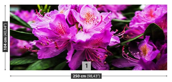 Carta da parati Fiori viola 104x70 cm
