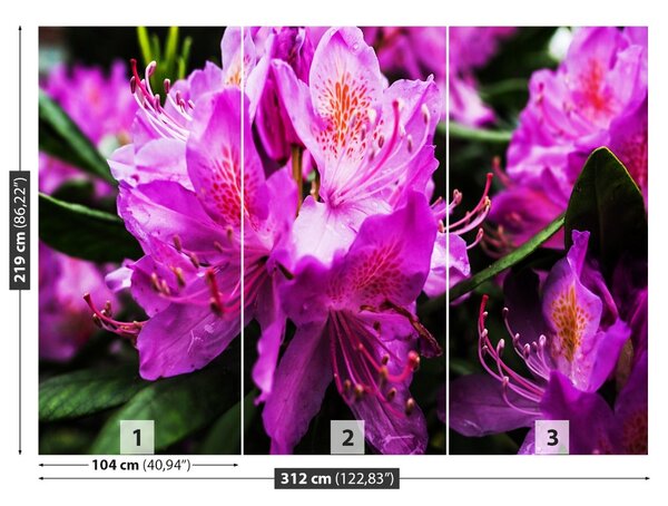 Carta da parati Fiori viola 104x70 cm