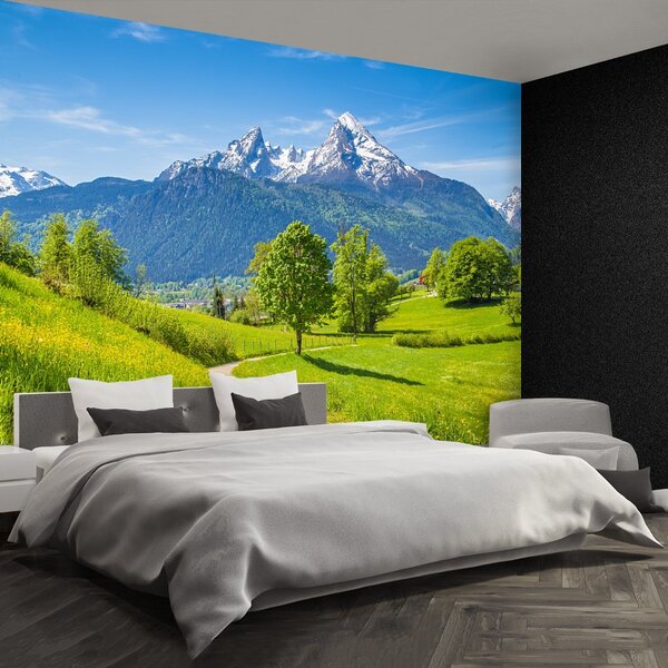 Carta da parati Alpi estive 104x70 cm