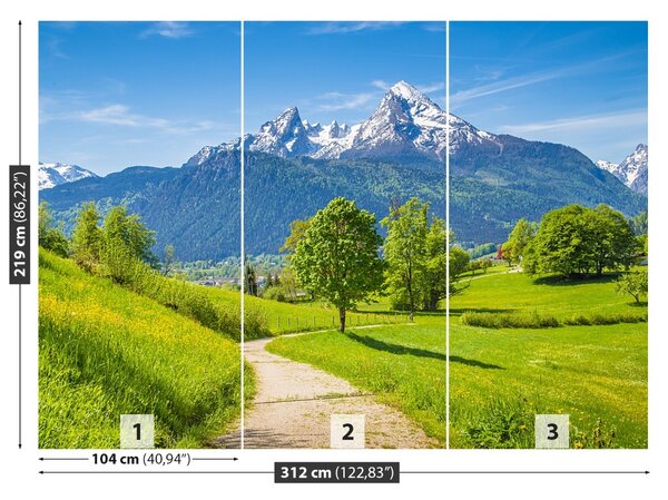Carta da parati Alpi estive 104x70 cm