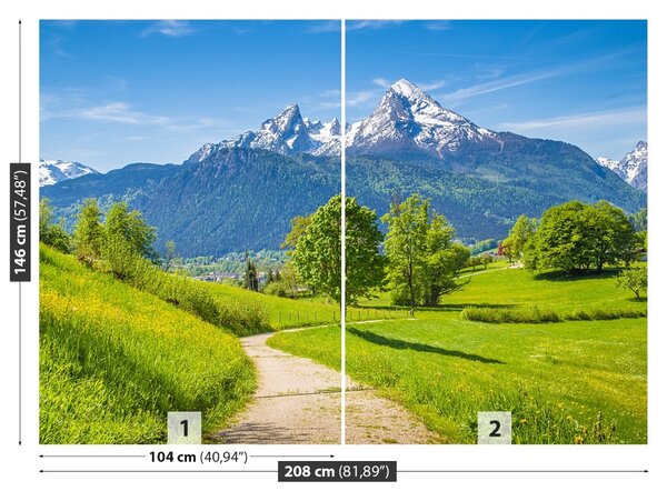 Carta da parati Alpi estive 104x70 cm