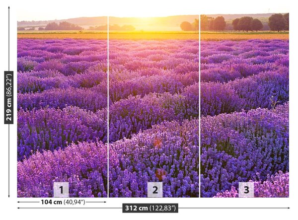 Carta da parati Campo di lavanda 104x70 cm