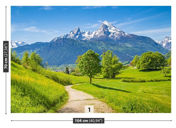Carta da parati Alpi estive 104x70 cm