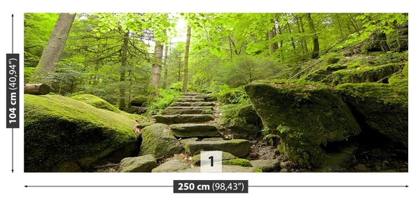 Carta da parati Trail forestale 104x70 cm