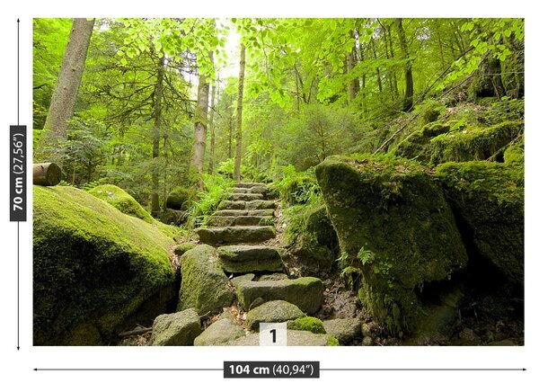 Carta da parati Trail forestale 104x70 cm
