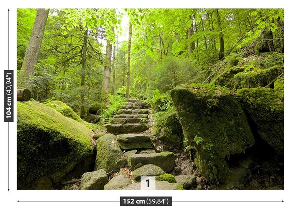 Carta da parati Trail forestale 104x70 cm