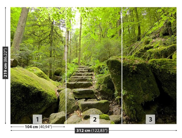 Carta da parati Trail forestale 104x70 cm