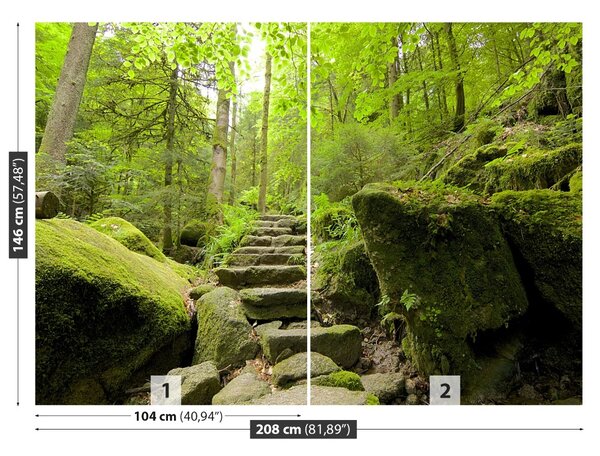 Carta da parati Trail forestale 104x70 cm