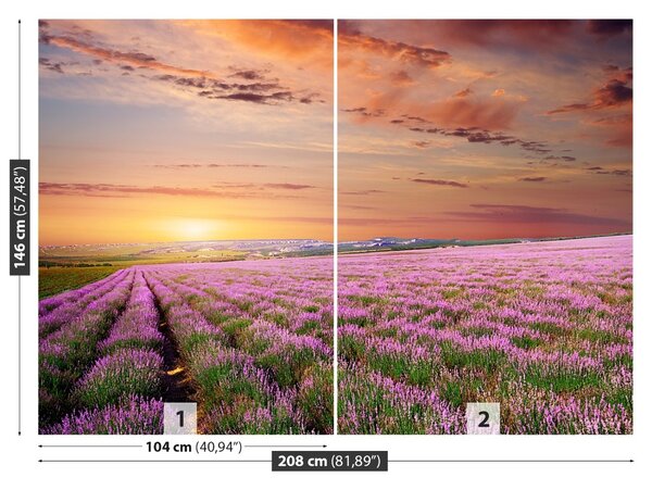 Carta da parati Campo di lavanda 104x70 cm