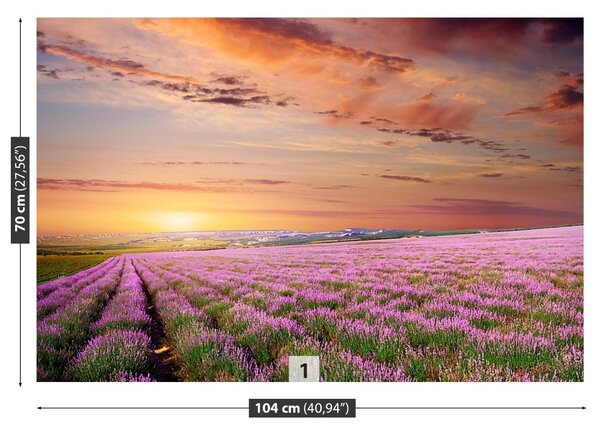 Carta da parati Campo di lavanda 104x70 cm
