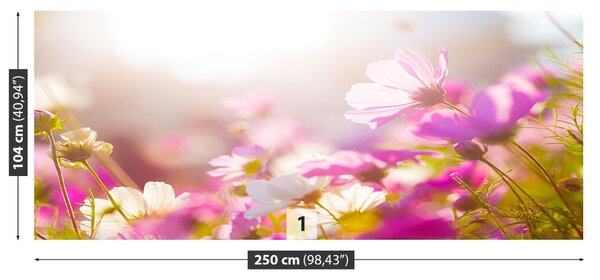 Carta da parati Fiori margherite 104x70 cm