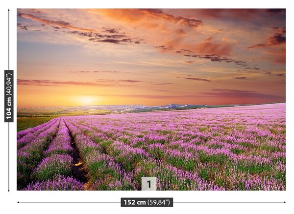 Carta da parati Campo di lavanda 104x70 cm
