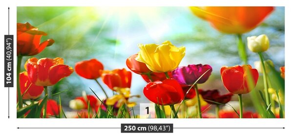 Carta da parati Tulips Flowers 104x70 cm