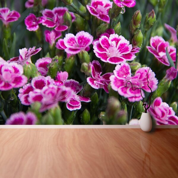 Carta da parati Fiori rosa 104x70 cm