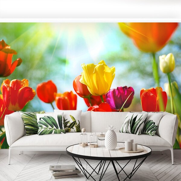 Carta da parati Tulips Flowers 104x70 cm