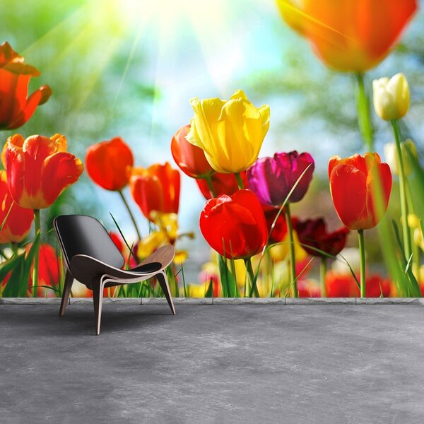 Carta da parati Tulips Flowers 104x70 cm