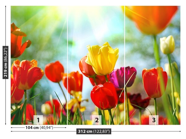 Carta da parati Tulips Flowers 104x70 cm