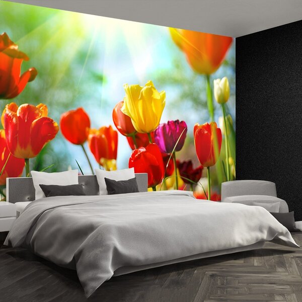 Carta da parati Tulips Flowers 104x70 cm