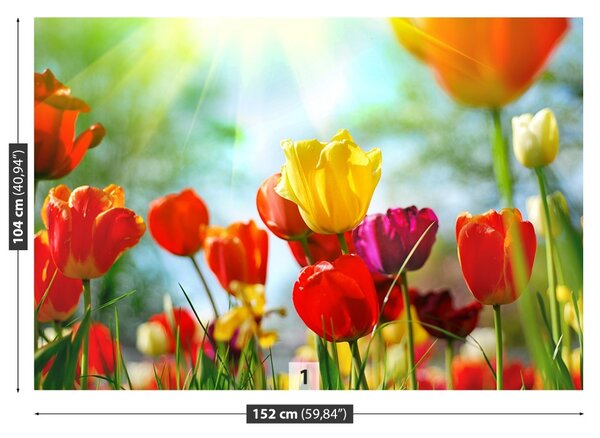 Carta da parati Tulips Flowers 104x70 cm
