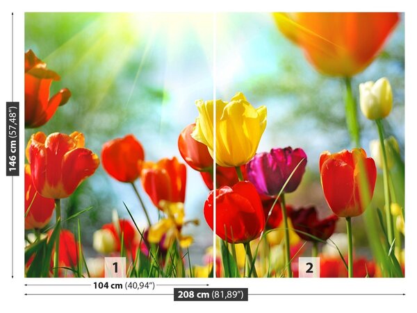 Carta da parati Tulips Flowers 104x70 cm