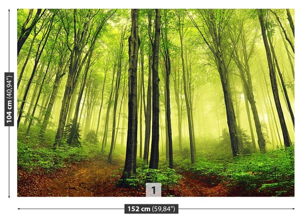 Carta da parati Foresta della nebbia 104x70 cm