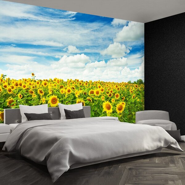 Carta da parati Campo di girasole 104x70 cm
