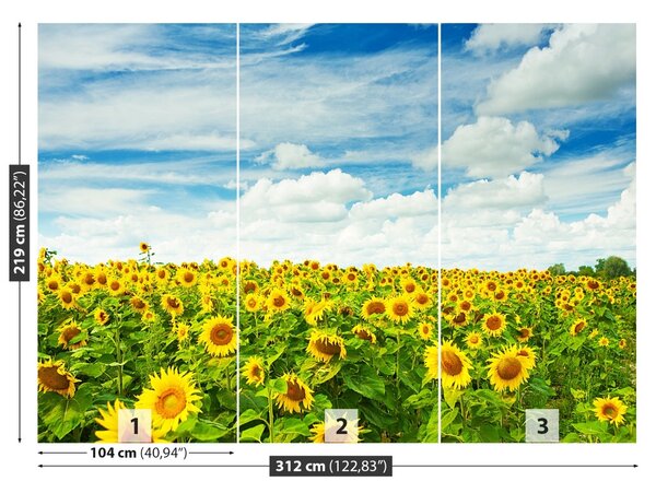 Carta da parati Campo di girasole 104x70 cm