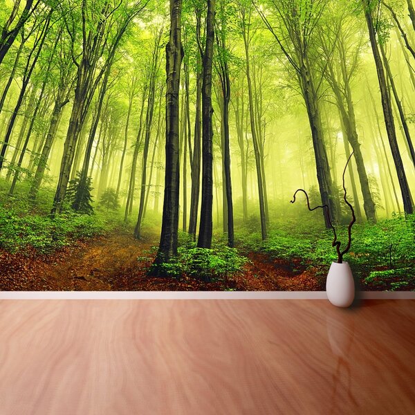 Carta da parati Foresta della nebbia 104x70 cm