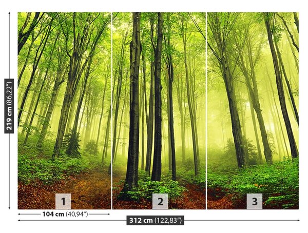 Carta da parati Foresta della nebbia 104x70 cm