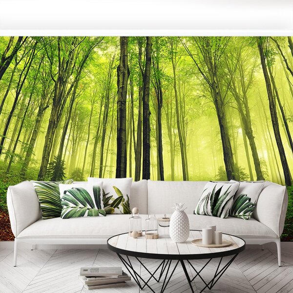 Carta da parati Foresta della nebbia 104x70 cm