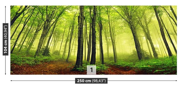 Carta da parati Foresta della nebbia 104x70 cm