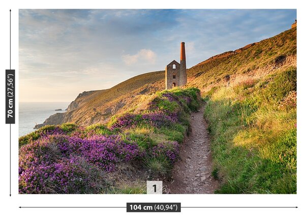 Carta da parati Costa della Cornovaglia 104x70 cm
