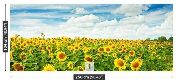 Carta da parati Campo di girasole 104x70 cm