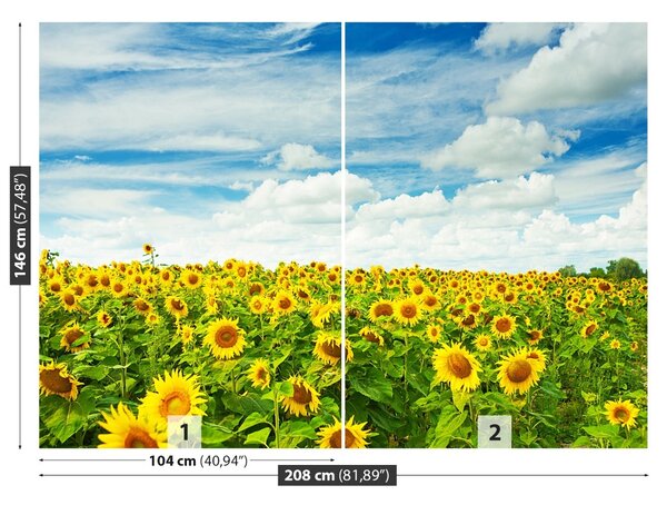 Carta da parati Campo di girasole 104x70 cm