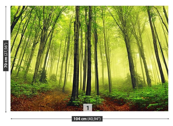 Carta da parati Foresta della nebbia 104x70 cm