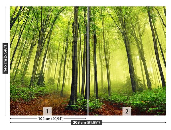 Carta da parati Foresta della nebbia 104x70 cm