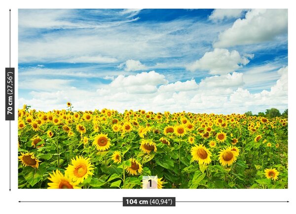 Carta da parati Campo di girasole 104x70 cm