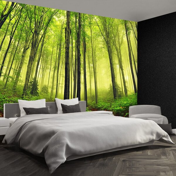 Carta da parati Foresta della nebbia 104x70 cm