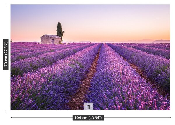 Carta da parati Provenza della lavanda 104x70 cm