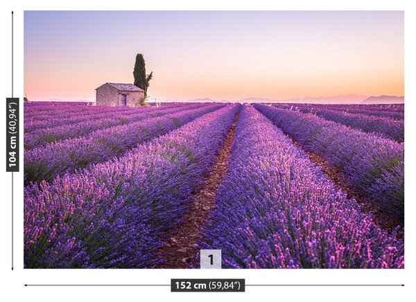 Carta da parati Provenza della lavanda 104x70 cm