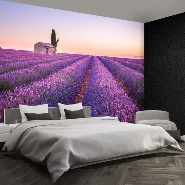 Carta da parati Provenza della lavanda 104x70 cm