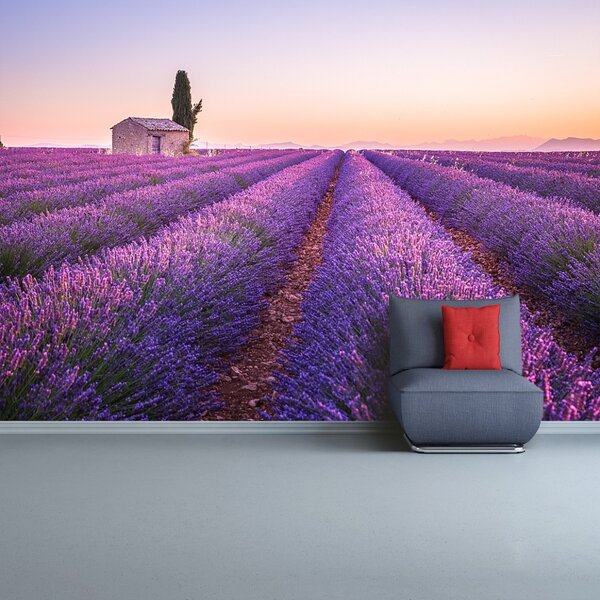 Carta da parati Provenza della lavanda 104x70 cm