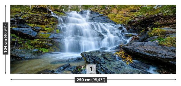 Carta da parati Cascata 104x70 cm
