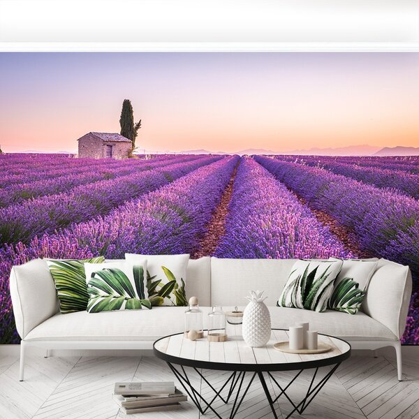 Carta da parati Provenza della lavanda 104x70 cm