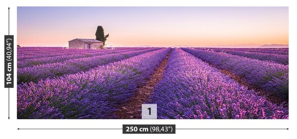 Carta da parati Provenza della lavanda 104x70 cm