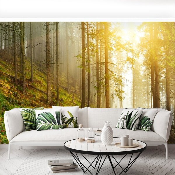 Carta da parati Foresta 104x70 cm