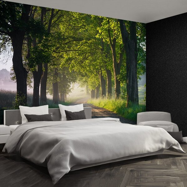 Carta da parati Avenue of Trees 104x70 cm